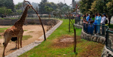 Parque Zoológico Huachipa