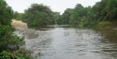 Río Chamán