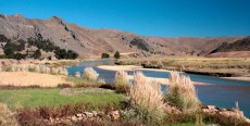Río Suches