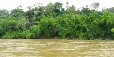 Río Tapiche