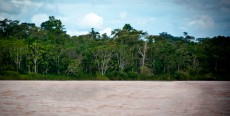 Río Tigre (Marañón)