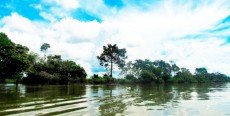 Río Ucayali