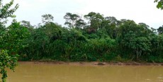 Río Yuruá