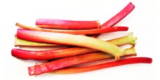 Ruibarbo