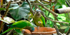 Zoológico Santa Anita