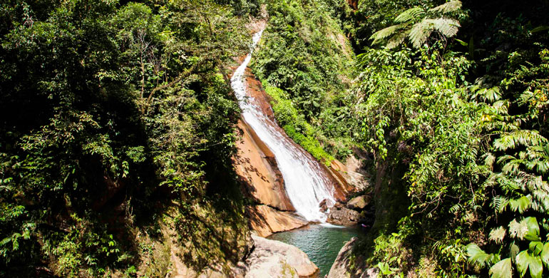 Catarata el Velo de la Novia Ucayali catarata-el-velo-de-la-novia-ucayali