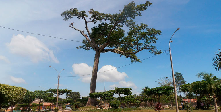 Parque la Lupuna parque-la-lupuna
