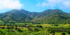 Parque Nacional Cerros de Amotape