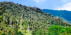 Parque Nacional Cutervo