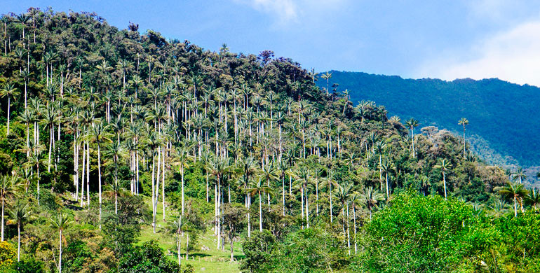 Parque Nacional Cutervo