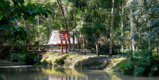 Parque Nacional Tingo María