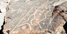 Petroglifos de Toro Muerto