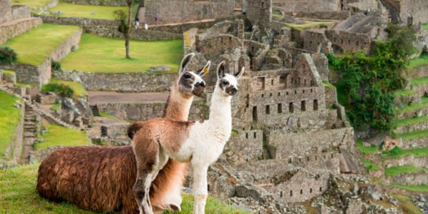 fotogaleria-machu-picchu-3