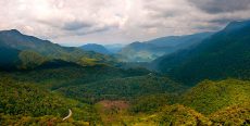 Bosque de protección de Pagaibamba