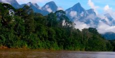 Parque Nacional Cordillera Azul