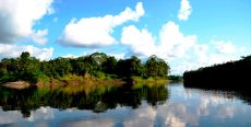 Reserva Nacional Pacaya Samiria