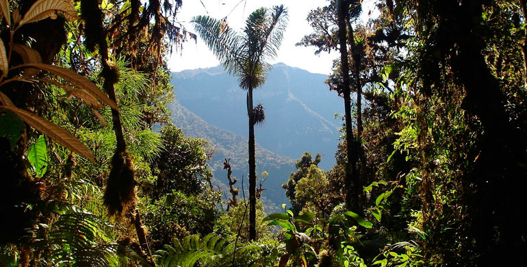 Parque Nacional Otishi