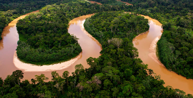 Reserva Nacional Matsés