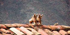 Toritos de Pucará ¿sabes su significado?