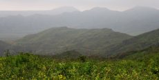 Zona Reservada Lomas de Ancón
