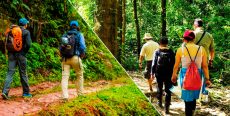Que llevar a la selva – objetos útiles