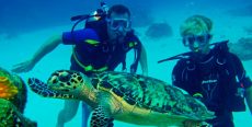 El Ñuro, paraíso para visitar tortugas marinas