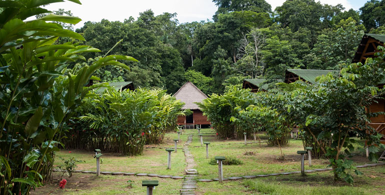 Aventura únicas Baawaja Expeditions – Ñape Lodge en la Comunidad de Infierno – Puerto Maldonado Aventura únicas Baawaja Expeditions – Ñape Lodge en la Comunidad de Infierno – Puerto Maldonado