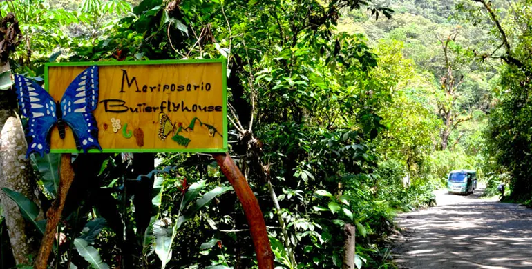 Mariposario Mariposas de Machu Picchu