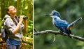 Tres impresionantes rutas para avistamiento aves en Perú