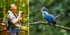 Tres impresionantes rutas para avistamiento aves en Perú