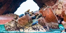 Islas Ballestas: Maravillas Naturales en la Costa Peruana