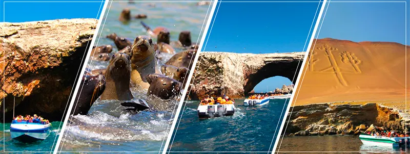Islas Ballestas y Paracas Islas Ballestas y Paracas