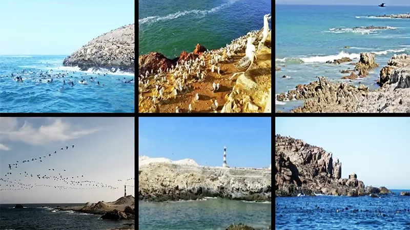 Reserva Nacional de Islas, Islotes y Puntas Guaneras Reserva Nacional de Islas, Islotes y Puntas Guaneras