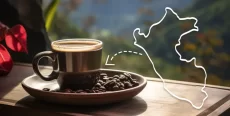 Rutas del Café en Perú: Un Viaje por los Principales Destinos Cafeteros